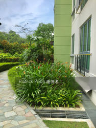 Springdale Condominium (D21), Condominium #131288502